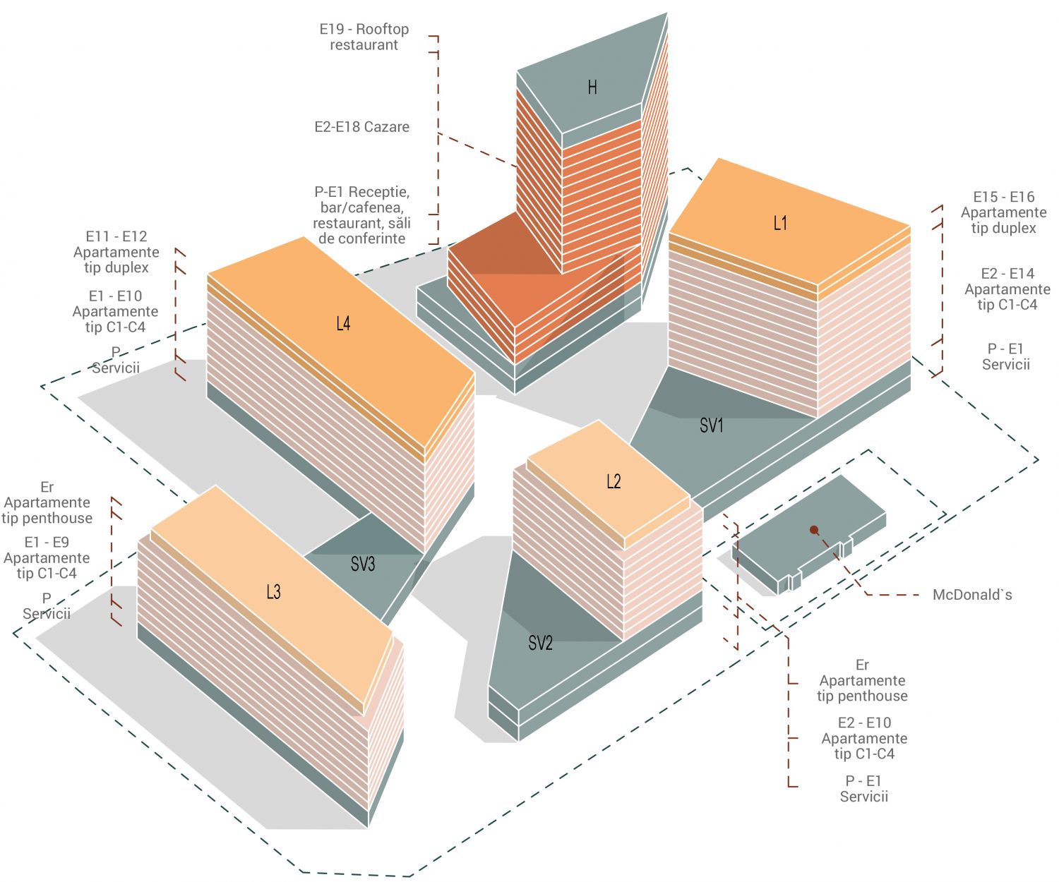Axo distributie functionala